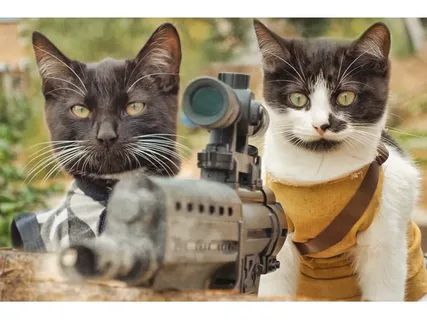 Смешные котики